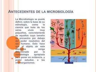 ANTECEDENTES DE LA MICROBIOLOGÍA
La Microbiología se puede
definir, sobre la base de su
etimología, como la
ciencia que trata de los
seres vivos muy
pequeños, concretamente
de aquellos cuyo tamaño
se encuentra por debajo
del poder resolutivo del
ojo humano. Esto hace
que el objeto de esta
disciplina venga
determinado por la
metodología apropiada
para poner en evidencia, y
poder estudiar, a los
microorganismos.
 