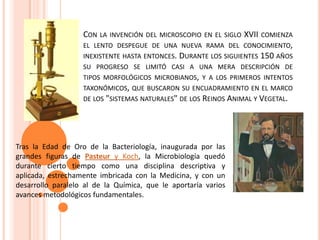 CON LA INVENCIÓN DEL MICROSCOPIO EN EL SIGLO XVII COMIENZA
EL LENTO DESPEGUE DE UNA NUEVA RAMA DEL CONOCIMIENTO,
INEXISTENTE HASTA ENTONCES. DURANTE LOS SIGUIENTES 150 AÑOS
SU PROGRESO SE LIMITÓ CASI A UNA MERA DESCRIPCIÓN DE
TIPOS MORFOLÓGICOS MICROBIANOS, Y A LOS PRIMEROS INTENTOS
TAXONÓMICOS, QUE BUSCARON SU ENCUADRAMIENTO EN EL MARCO
DE LOS "SISTEMAS NATURALES" DE LOS REINOS ANIMAL Y VEGETAL.
Tras la Edad de Oro de la Bacteriología, inaugurada por las
grandes figuras de Pasteur y Koch, la Microbiología quedó
durante cierto tiempo como una disciplina descriptiva y
aplicada, estrechamente imbricada con la Medicina, y con un
desarrollo paralelo al de la Química, que le aportaría varios
avances metodológicos fundamentales.
 