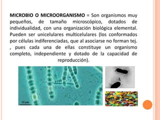 MICROBIO O MICROORGANISMO = Son organismos muy
pequeños, de tamaño microscópico, dotados de
individualidad, con una organización biológica elemental.
Pueden ser unicelulares multicelulares (los conformados
por células indiferenciadas, que al asociarse no forman tej.
, pues cada una de ellas constituye un organismo
completo, independiente y dotado de la capacidad de
reproducción).
 