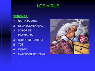 LOS VIRUS

SINTOMAS:
1. NARIZ TAPADA
2. SECRECIÓN NASAL
3. DOLOR DE
   GARGANTA
4. DOLOR DE CABEZA
5. TOS
6. FIEBRE
7. MALESTAR GENERAL
 
