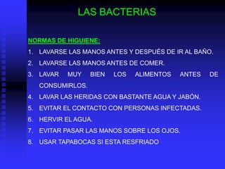 LAS BACTERIAS

NORMAS DE HIGUIENE:
1. LAVARSE LAS MANOS ANTES Y DESPUÉS DE IR AL BAÑO.
2. LAVARSE LAS MANOS ANTES DE COMER.
3. LAVAR   MUY    BIEN   LOS   ALIMENTOS   ANTES   DE
   CONSUMIRLOS.
4. LAVAR LAS HERIDAS CON BASTANTE AGUA Y JABÓN.
5. EVITAR EL CONTACTO CON PERSONAS INFECTADAS.
6. HERVIR EL AGUA.
7. EVITAR PASAR LAS MANOS SOBRE LOS OJOS.
8. USAR TAPABOCAS SI ESTA RESFRIADO
 