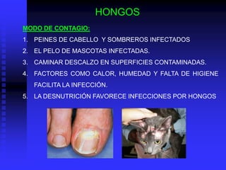 HONGOS
MODO DE CONTAGIO:
1. PEINES DE CABELLO Y SOMBREROS INFECTADOS
2. EL PELO DE MASCOTAS INFECTADAS.
3. CAMINAR DESCALZO EN SUPERFICIES CONTAMINADAS.
4. FACTORES COMO CALOR, HUMEDAD Y FALTA DE HIGIENE
   FACILITA LA INFECCIÓN.
5. LA DESNUTRICIÓN FAVORECE INFECCIONES POR HONGOS
 