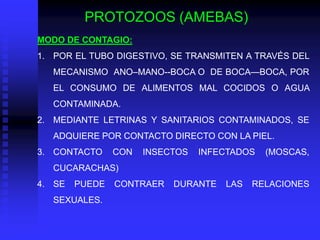PROTOZOOS (AMEBAS)
MODO DE CONTAGIO:
1. POR EL TUBO DIGESTIVO, SE TRANSMITEN A TRAVÉS DEL
   MECANISMO ANO–MANO--BOCA O DE BOCA—BOCA, POR
   EL CONSUMO DE ALIMENTOS MAL COCIDOS O AGUA
   CONTAMINADA.
2. MEDIANTE LETRINAS Y SANITARIOS CONTAMINADOS, SE
   ADQUIERE POR CONTACTO DIRECTO CON LA PIEL.
3. CONTACTO     CON   INSECTOS   INFECTADOS   (MOSCAS,
   CUCARACHAS)
4. SE   PUEDE   CONTRAER   DURANTE   LAS   RELACIONES
   SEXUALES.
 