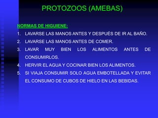 PROTOZOOS (AMEBAS)

NORMAS DE HIGUIENE:
1. LAVARSE LAS MANOS ANTES Y DESPUÉS DE IR AL BAÑO.
2. LAVARSE LAS MANOS ANTES DE COMER.
3. LAVAR   MUY    BIEN   LOS   ALIMENTOS   ANTES   DE
   CONSUMIRLOS.
4. HERVIR EL AGUA Y COCINAR BIEN LOS ALIMENTOS.
5. SI VIAJA CONSUMIR SOLO AGUA EMBOTELLADA Y EVITAR
   EL CONSUMO DE CUBOS DE HIELO EN LAS BEBIDAS.
 