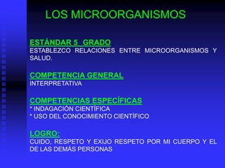 LOS MICROORGANISMOS

ESTÁNDAR 5 GRADO
ESTABLEZCO RELACIONES ENTRE MICROORGANISMOS Y
SALUD.

COMPETENCIA GENERAL
INTERPRETATIVA

COMPETENCIAS ESPECÍFICAS
* INDAGACIÓN CIENTÍFICA
* USO DEL CONOCIMIENTO CIENTÍFICO

LOGRO:
CUIDO, RESPETO Y EXIJO RESPETO POR MI CUERPO Y EL
DE LAS DEMÁS PERSONAS
 
