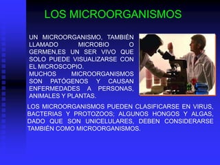 LOS MICROORGANISMOS
UN MICROORGANISMO, TAMBIÉN
LLAMADO       MICROBIO    O
GERMEN,ES UN SER VIVO QUE
SOLO PUEDE VISUALIZARSE CON
EL MICROSCOPIO.
MUCHOS      MICROORGANISMOS
SON PATÓGENOS Y CAUSAN
ENFERMEDADES A PERSONAS,
ANIMALES Y PLANTAS.
LOS MICROORGANISMOS PUEDEN CLASIFICARSE EN VIRUS,
BACTERIAS Y PROTOZOOS; ALGUNOS HONGOS Y ALGAS,
DADO QUE SON UNICELULARES, DEBEN CONSIDERARSE
TAMBIÉN COMO MICROORGANISMOS.
 