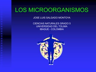 LOS MICROORGANISMOS
    JOSE LUIS SALGADO MONTOYA

    CIENCIAS NATURALES GRADO 5
       UNIVERSIDAD DEL TOLIMA
         IBAGUE - COLOMBIA
 