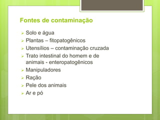 Fontes de contaminação
 Solo e água
 Plantas – fitopatogênicos
 Utensílios – contaminação cruzada
 Trato intestinal do homem e de
animais - enteropatogênicos
 Manipuladores
 Ração
 Pele dos animais
 Ar e pó
 