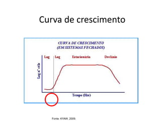Fonte: KYAW, 2009.
Curva de crescimento
 