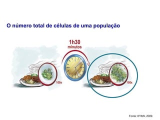 O número total de células de uma população
Fonte: KYAW, 2009.
 