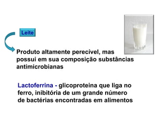 Leite
Produto altamente perecível, mas
possui em sua composição substâncias
antimicrobianas
Lactoferrina - glicoproteina que liga no
ferro, inibitória de um grande número
de bactérias encontradas em alimentos
 