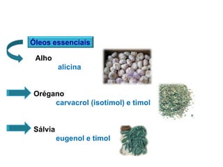 Óleos essenciais
Alho
alicina
Orégano
carvacrol (isotimol) e timol
Sálvia
eugenol e timol
 