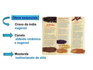 Óleos essenciais
Cravo da índia
eugenol
Canela
aldeído cinâmico
e eugenol
Mostarda
isotiocianato de alilo
 