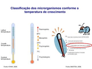 Classificação dos microrganismos conforme a
temperatura de crescimento
Fonte: KYAW, 2009. Fonte: BASTOS, 2008.
 