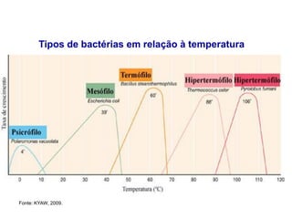 Tipos de bactérias em relação à temperatura
Fonte: KYAW, 2009.
 