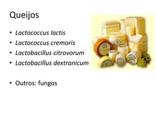 Queijos
• Lactococcus lactis
• Lactococcus cremoris
• Lactobacillus citrovorum
• Lactobacillus dextranicum
• Outros: fungos
 