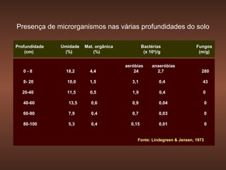 Presença de microrganismos nas várias profundidades do solo

Profundidade   Umidade   Mat. orgânica            Bactérias               Fungos
    (cm)        (%)          (%)                   (x 106)/g               (m/g)


                                         aeróbias      anaeróbias
   0-8           18,2      4,4               24          2,7                280

   8- 20         10,0      1,5              3,1            0,4               43

  20-40          11,5      0,5              1,9            0,4               0

   40-60          13,5      0,6             0,9            0,04                  0

   60-80          7,9       0,4             0,7            0,03                  0

   80-100         5,3       0,4            0,15            0,01                  0


                                              Fonte: Lindegreen & Jensen, 1973
 