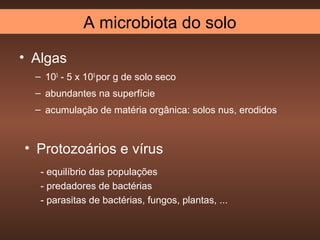 A microbiota do solo

• Algas
  – 103 - 5 x 105 por g de solo seco
  – abundantes na superfície
  – acumulação de matéria orgânica: solos nus, erodidos



• Protozoários e vírus
   - equilíbrio das populações
   - predadores de bactérias
   - parasitas de bactérias, fungos, plantas, ...
 