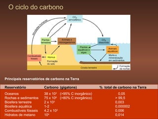 O ciclo do carbono




Principais reservatórios de carbono na Terra

Reservatório           Carbono (gigatons)             % total de carbono na Terra
Oceanos                38 x 103 (>95% C inorgânico)              0,05
Rochas e sedimentos    75 x 106 (>80% C inorgânico)            > 99,5
Biosfera terrestre     2 x 103                                 0,003
Biosfera aquática      1-2                                     0,000002
Combustíveis fósseis   4,2 x 103                               0,006
Hidratos de metano     104                                     0,014
 