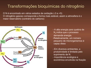 Transformações bioquímicas do nitrogênio
O N é encontrado em vários estados de oxidação (-3 a +5)
O nitrogênio gasoso corresponde a forma mais estável, assim a atmosfera é o
maior reservatório (contrário do carbono)



                                               - A alta energia para quebra de
                                                 N2 indica que o processo
                                                 demanda energia.
                                               - Relativamente, um número
                                                 pequeno de microrganismos é
                                                 capaz disso

                                               - Em diversos ambientes, a
                                                produtividade é limitada pelo
                                                suprimento de N.
                                               - Importância ecológica e
                                                econômica envolvida na fixação
 