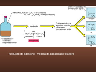 Redução de acetileno: medida da capacidade fixadora
 