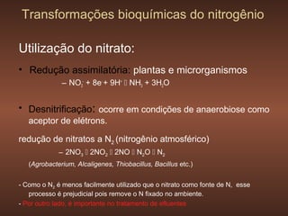 Transformações bioquímicas do nitrogênio

Utilização do nitrato:
• Redução assimilatória: plantas e microrganismos
              – NO3- + 8e- + 9H+  NH3 + 3H2O


• Desnitrificação: ocorre em condições de anaerobiose como
   aceptor de elétrons.

redução de nitratos a N2 (nitrogênio atmosférico)
             – 2NO3  2NO2  2NO  N2O  N2
   (Agrobacterium, Alcaligenes, Thiobacillus, Bacillus etc.)


- Como o N2 é menos facilmente utilizado que o nitrato como fonte de N, esse
   processo é prejudicial pois remove o N fixado no ambiente.
- Por outro lado, é importante no tratamento de efluentes
 