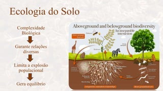 Ecologia do Solo
Complexidade
Biológica
Garante relações
diversas
Limita a explosão
populacional
Gera equilíbrio
 