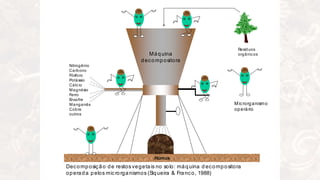 Máquina
decompositora
Húmus
MS
MS
MS
MS
MS
Decomposição de restos vegetais no solo: máquina d ecompositora
operada pelos microrganismos (Siqueira & Franco, 1988)
Microrganismo
operário
MS
Nitrogênio
Carbono
Fósforo
Potássio
Cálcio
Magnésio
Ferro
Enxofre
Manganês
Cobre
outros
Resíduos
orgânicos
 