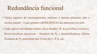 Redundância funcional
• Várias espécies de microrganismos realizam o mesmo processo, têm a
mesma função – o que garante a RESILIÊNCIA dos processos no solo.
• Cada espécie microbiana realiza várias funções  Azospirillum brasilense,
Bradyrhizobium japonicum – fixadores de N2 e desnitrificadores. Outros
fixadores de N2 participam dos Ciclos do C, P, S, etc.
 