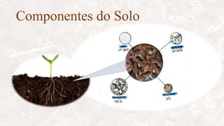 Componentes do Solo
 