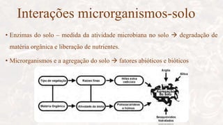 Interações microrganismos-solo
• Enzimas do solo – medida da atividade microbiana no solo  degradação de
matéria orgânica e liberação de nutrientes.
• Microrganismos e a agregação do solo  fatores abióticos e bióticos
 