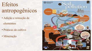 Efeitos
antropogênicos
• Adição e remoção de
elementos
• Práticas de cultivo
• Mineração
 