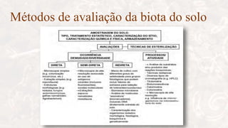 Métodos de avaliação da biota do solo
 
