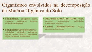 Organismos envolvidos na decomposição
da Matéria Orgânica do Solo
• Trituradores: coleópteros, ácaros,
crustáceos, lepidópteros, formigas,
miriápodes, quilópodos
• Trituradores/decompositores:
colêmbolas, miriápodes, coleópteros,
dípteros, ácaros, minhocas, enquitrídeos,
fungos, bactérias e actinomicetos
• Decompositores/trituradores: fungos,
bactérias, actinomicetos, colêmbolas,
enquitrídeos, minhocas
• Apenas decompositores: fungos,
bactérias, actinomicetos
 
