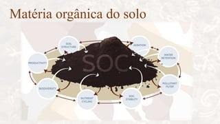 Matéria orgânica do solo
 