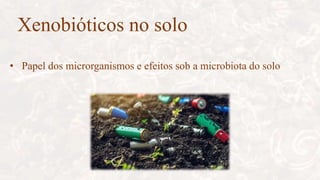 Xenobióticos no solo
• Papel dos microrganismos e efeitos sob a microbiota do solo
 