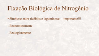 Fixação Biológica de Nitrogênio
• Simbiose entre rizóbios e leguminosas – importante!!!
- Economicamente
- Ecologicamente
 