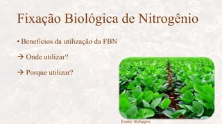Fixação Biológica de Nitrogênio
• Benefícios da utilização da FBN
 Onde utilizar?
 Porque utilizar?
Fonte: Rehagro.
 