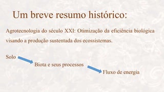 Um breve resumo histórico:
Agrotecnologia do século XXI: Otimização da eficiência biológica
visando a produção sustentada dos ecossistemas.
Solo
Biota e seus processos
Fluxo de energia
 