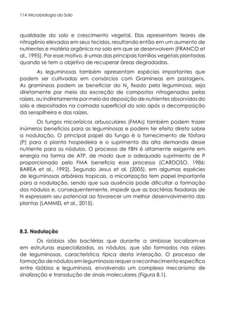 Microbiologia do Solo
114
qualidade do solo e crescimento vegetal. Elas apresentam teores de
nitrogênio elevados em seus tecidos, resultando então em um aumento de
nutrientes e matéria orgânica no solo em que se desenvolvem (FRANCO et
al., 1995). Por esse motivo, é umas das principais famílias vegetais plantadas
quando se tem o objetivo de recuperar áreas degradadas.
As leguminosas também apresentam espécies importantes que
podem ser cultivadas em consórcios com Gramineas em pastagens.
As gramíneas podem se beneficiar do N2
fixado pela leguminosa, seja
diretamente por meio da excreção de compostos nitrogenados pelas
raízes, ou indiretamente por meio da deposição de nutrientes absorvidos do
solo e depositados na camada superficial do solo após a decomposição
da serapilheira e das raízes.
Os fungos micorrízicos arbusculares (FMAs) também podem trazer
inúmeros benefícios para as leguminosas e podem ter efeito direto sobre
a nodulação. O principal papel do fungo é o fornecimento de fósforo
(P) para a planta hospedeira e o suprimento da alta demanda desse
nutriente para os nódulos. O processo de FBN é altamente exigente em
energia na forma de ATP, de modo que o adequado suprimento de P
proporcionado pelo FMA beneficia esse processo (CARDOSO, 1986;
BAREA et al., 1992). Segundo Jesus et al. (2005), em algumas espécies
de leguminosas arbóreas tropicais, a micorrização tem papel importante
para a nodulação, sendo que sua ausência pode dificultar a formação
dos nódulos e, consequentemente, impedir que as bactérias fixadoras de
N expressem seu potencial ao favorecer um melhor desenvolvimento das
plantas (LAMMEL et al., 2015).
8.3. Nodulação
Os rizóbios são bactérias que durante a simbiose localizam-se
em estruturas especializadas, os nódulos, que são formados nas raízes
de leguminosas, característica típica desta interação. O processo de
formação de nódulos em leguminosas requer o reconhecimento específico
entre rizóbios e leguminosa, envolvendo um complexo mecanismo de
sinalização e transdução de sinais moleculares (Figura 8.1).
 