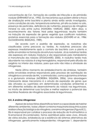 Microbiologia do Solo
116
concentração de Ca+
, formação do cordão de infecção e do primórdio
nodular (EHRHARDT et al., 1992). Os mecanismos que podem afetar a troca
de sinalização entre bactéria e planta ainda estão sendo investigados,
como condições do solo, temperaturas extremas, pH alto ou baixo no solo,
presença de pesticidas, deficiência de nutrientes, presença de nitrogênio
mineral no solo entre outros (HUNGRIA; VARGAS, 2000). Além disso, o
reconhecimento dos fatores Nod pelas leguminosas resulta também
na indução da expressão de genes vegetais que codificam nodulinas,
proteínas essenciais para a formação dos nódulos (GOVERS et al., 1986;
GLOUDEMANS; BISSELING, 1989).
De acordo com o padrão de expressão, as nodulinas são
classificadas como precoces ou tardias. As nodulinas precoces são
expressas imediatamente após o contato da bactéria com a planta e
estão envolvidas na formação da estrutura nodular. Já as nodulinas tardias
são expressas em nódulos maduros e são responsáveis pelo metabolismo
e manutenção dos nódulos (STOUGAARD, 2000). A nodulina tardia mais
abundante nos nódulos é a leg-hemoglobina, responsável pela difusão do
oxigênio no interior dos nódulos, para que este não iniba a atividade da
nitrogenase.
Neste último momento do estabelecimento da simbiose, também
estão envolvidas enzimas responsáveis pelo processo de assimilação do
nitrogênio e conversão de NH4
+
a aminoácidos, como a glutamina sintetase
e a glutamato sintetase (MOREIRA; SIQUEIRA, 2006). Uma abordagem
interessante desse mecanismo é o estudo da expressão de genes que
são ativados ou suprimidos em determinadas condições ambientais e
em diferentes estádios de desenvolvimento do nódulo nas leguminosas,
no intuito de determinar suas funções e melhor explorar o potencial das
bactérias fixadoras de nitrogênio associadas às leguminosas.
8.4. A enzima nitrogenase
Apesar de as bactérias diazotróficas terem a capacidade de habitar
diferentes ambientes, todas utilizam a mesma maquinaria bioquímica para
realizar a fixação biológica do nitrogênio, a enzima nitrogenase (Figura 8.2.).
Ela é responsável por catalisar o processo de redução do N-atmosférico a
N-amoniacal (N-combinado), forma assimilável pelos seres vivos. Através
de vários estudos, estabeleceu-se a existência de sistemas alternativos da
nitrogenase, geneticamente independentes: nitrogenase 1, dependente
 