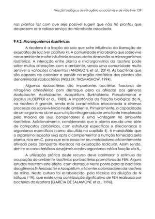 Fixação biológica de nitrogênio associativa e de vida livre 139
nas plantas faz com que seja possível sugerir que não há plantas que
desprezam este valioso serviço da microbiota associada.
9.4.2. Microrganismos rizosféricos
A rizosfera é a fração do solo que sofre influência da liberação de
exsudatos de raiz (ver capítulo 4). A comunidade microbiana que sobrevive
nesseambienteesofreinfluênciadosexsudatosdaraizsãoosmicrorganismos
rizosférico. A interação entre planta e microrganismos da rizosfera pode
sofrer muitas alterações com o ambiente, sendo uma comunidade muito
sensível a variações ambientais (ANDREOTE et al., 2014). As bactérias que
são capazes de colonizar e persistir na região rizosférica das plantas são
denominadas rizobactérias (WELLER; THOMASHOW, 1994).
Algumas rizobactérias são importantes bactérias fixadoras de
nitrogênio atmosférico com destaque para as afiliadas aos gêneros
Azotobacter, Acetobacter, Azospirillum, Burkholderia, Pseudomonas e
Bacillus (KLOEPPER et al., 1989). A importância da fixação biológica do N2
na rizosfera é grande, sendo esta característica relacionada a diversos
processos de sobrevivência neste ambiente. Primeiramente, a capacidade
de um organismo obter sua nutrição nitrogenada de uma fonte inexplorada
pela maioria de seus competidores é uma vantagem no ambiente
rizosférico. Adicionalmente, considerando que a planta exsuda uma série
de compostos carbônicos, com estruturas específicas e direcionadas a
organismos específicos (como discutido no capítulo 4), é mandatório que
o organismo receptor seja apto a complementar a nutrição fornecida pela
planta, rica em C, para que este possa ter seu metabolismo eficientemente
ativado pelos compostos liberados na exsudação radicular. Assim sendo,
dentre as características desejáveis a estes organismos está a fixação do N2
.
A utilização prática deste recurso deve aprimorar o estímulo da
ocupação do ambiente rizosférico por bactérias promotoras da FBN. Alguns
estudos mostram este efeito, com destaque neste ponto para as bactérias
dos gêneros Enterobacter e Azospirillum, eficientes colonizadores da rizosfera
de milho. Nesta cultura foi estabelecido, pela técnica da diluição do N
isótopo (15
N), que existe uma contribuição significativa de FBN realizada por
bactérias da rizosfera (GARCIA DE SALAMONE et al., 1996).
 
