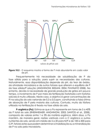 Transformações microbianas do fósforo 153
Frequentemente há necessidade de solubilização de P da
fase sólida para a solução, para suprir as necessidades das culturas.
Naturalmente, essa disponibilização depende do pH, do teor de óxidos,
da atividade microbiana e de outros fatores que alteram o equilíbrio de P
da fase sólida/P solução (ANGHINONI; BISSANI, 2004; PAVINATO 2008). No
entanto, devido à necessidade de grande produção de grãos em pouco
tempo, o incremento de P por meio da fertilização fosfatada com fosfatos
solúveis é muito utilizado. Neste caso, o objetivo é gerar concentrações de
Pi na solução do solo variando de 0,3 a 3,0 ppm, constituindo a faixa ótima
de absorção de P pela maioria das culturas. Contudo, muito do fósforo
utilizado na fertilização é fixado na fase sólida do solo.
P-orgânico (Po): Estima-se que o Po represente em torno de 5 a 40%
do P total do solo (RHEINHEIMER; ANGHINONI, 2003; SANTOS et al., 2008),
composto de valores entre 1 e 3% da matéria orgânica. Além disso, o Po
mantém, de maneira geral, razões variáveis com o C orgânico e outros
nutrientes do solo, sendo em média de 5 a 20 para N/P e de 100 a 300 para
C/P, fatores estes que podem determinar a imobilização ou a mineralização
de P no solo pela microbiota.
Figura 10.2 - O esquema mostra a forma de P mais abundante em cada valor
de pH.
 