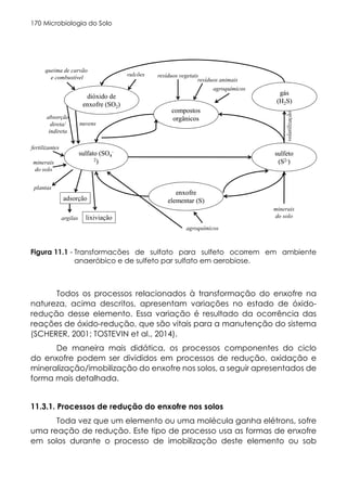 Microbiologia do Solo
170
Todos os processos relacionados à transformação do enxofre na
natureza, acima descritos, apresentam variações no estado de óxido-
redução desse elemento. Essa variação é resultado da ocorrência das
reações de óxido-redução, que são vitais para a manutenção do sistema
(SCHERER, 2001; TOSTEVIN et al., 2014).
De maneira mais didática, os processos componentes do ciclo
do enxofre podem ser divididos em processos de redução, oxidação e
mineralização/imobilização do enxofre nos solos, a seguir apresentados de
forma mais detalhada.
11.3.1. Processos de redução do enxofre nos solos
Toda vez que um elemento ou uma molécula ganha elétrons, sofre
uma reação de redução. Este tipo de processo usa as formas de enxofre
em solos durante o processo de imobilização deste elemento ou sob
Figura 11.1 - Transformacões de sulfato para sulfeto ocorrem em ambiente
anaeróbico e de sulfeto par sulfato em aerobiose.
 