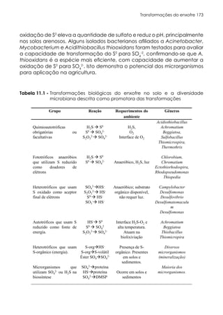 Transformações do enxofre 173
oxidação de S0
eleva a quantidade de sulfato e reduz o pH, principalmente
nos solos arenosos. Alguns isolados bacterianos afiliados a Acinetobacter,
Mycobacterium e Acidithiobacillus thiooxidans foram testados para avaliar
a capacidade de transformação do S0
para SO4
-2
, confirmando-se que A.
thiooxidans é a espécie mais eficiente, com capacidade de aumentar a
oxidação de S0
para SO4
2-
. Isto demonstra o potencial dos microrganismos
para aplicação na agricultura.
Transformações biológicas do enxofre no solo e a diversidade
microbiana descrita como promotora das transformações
Tabela 11.1 -
Grupo Reação Requerimentos do
ambiente
Gêneros
Quimioautotróficas
obrigatórias ou
facultativas
H2S  S0
S0  SO4
2-
S2O3
2- SO4
2-
H2S,
O2
Interface de O2
Acidiothiobacillus
Achromatium
Beggiatoa,
Sulfobacillus
Thiomicrospira,
Thermothrix
Fototróficos anaeróbios
que utilizam S reduzido
como doadores de
elétrons
H2S  S0
S0  SO4
2- Anaeróbico, H2S, luz
Chlorobium,
Chromatium
Ectothiorhodospira,
Rhodopseudomonas
Thiopedia
Heterotróficos que usam
S oxidado como aceptor
final de elétrons
SO4
2-HS-
S2O3
2- HS-
S0- HS-
SO3
- HS-
Anaeróbico; substrato
orgânico disponível,
não requer luz.
Campylobacter
Desulfomonas
Desulfovibrio
Desulfomatomaculu
m
Desulfomonas
Autotróficos que usam S
reduzido como fonte de
energia.
HS- S0
S0  SO4
2
S2O3
2- SO4
2-
Interface H2S-O2 e
alta temperatura.
Atuam na
biolixiviação
Achromatium
Beggiatoa
Thiobacillus
Thiomicropira
Heterotróficos que usam
S-orgânico (energia).
S-orgHS-
S-orgS-volátil
Éster SO4SO4
2-
Presença de S-
orgânico. Presentes
em solos e
sedimentos.
Diversos
microrganismos
(mineralização)
Microrganismos que
utilizam SO4
2- ou H2S na
biossíntese
SO4
2-proteína
HS-proteína
SO4
2-DMSP
Ocorre em solos e
sedimentos
Maioria dos
microrganismos.
 