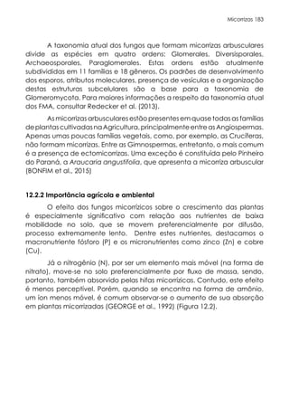 Micorrizas 183
A taxonomia atual dos fungos que formam micorrizas arbusculares
divide as espécies em quatro ordens: Glomerales, Diversisporales,
Archaeosporales, Paraglomerales. Estas ordens estão atualmente
subdivididas em 11 famílias e 18 gêneros. Os padrões de desenvolvimento
dos esporos, atributos moleculares, presença de vesículas e a organização
destas estruturas subcelulares são a base para a taxonomia de
Glomeromycota. Para maiores informações a respeito da taxonomia atual
dos FMA, consultar Redecker et al. (2013).
As micorrizas arbusculares estão presentes em quase todas as famílias
deplantascultivadasnaAgricultura,principalmenteentreasAngiospermas.
Apenas umas poucas famílias vegetais, como, por exemplo, as Crucíferas,
não formam micorrizas. Entre as Gimnospermas, entretanto, o mais comum
é a presença de ectomicorrizas. Uma exceção é constituída pelo Pinheiro
do Paraná, a Araucaria angustifolia, que apresenta a micorriza arbuscular
(BONFIM et al., 2015)
12.2.2 Importância agrícola e ambiental
O efeito dos fungos micorrízicos sobre o crescimento das plantas
é especialmente significativo com relação aos nutrientes de baixa
mobilidade no solo, que se movem preferencialmente por difusão,
processo extremamente lento. Dentre estes nutrientes, destacamos o
macronutriente fósforo (P) e os micronutrientes como zinco (Zn) e cobre
(Cu).
Já o nitrogênio (N), por ser um elemento mais móvel (na forma de
nitrato), move-se no solo preferencialmente por fluxo de massa, sendo,
portanto, também absorvido pelas hifas micorrízicas. Contudo, este efeito
é menos perceptível. Porém, quando se encontra na forma de amônio,
um íon menos móvel, é comum observar-se o aumento de sua absorção
em plantas micorrizadas (GEORGE et al., 1992) (Figura 12.2).
 