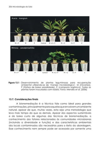 Microbiologia do Solo
206
Desenvolvimento de plantas leguminosas para recuperação
ambiental utilizando-se de ‘manejo microbiológico’. M (micorriza),
P (fósforo de baixa solubilidade), C (composto orgânico). Todas as
plantas foram inoculadas com rizóbio. Fotos: Mendes et al. (2006)
Figura 13.1 -
M + P M P Control M +C+ P M + C C+ P C
Acacia mangium
Mimosa caesalpiniaefolia
M + P M P Control M +C+ P M + C C+ P C
Figura 13.1. Desenvolvimento de plantas leguminosas para recuperação ambiental utilizan
de ‘manejo microbiológico’. M (micorriza), P(fósforo de baixa solubilidade), C(composto
orgânico). Todas as plantas foram inoculadas com rizóbio. Fotos: Mendes et al. (2006).
13.7. Considerações finais
A biorremediação é a técnica tida como ideal para grandes
contaminações,principalmenteparaaquelasqueenvolvemumambiente
natural, apesar de que, muitas vezes, esta seja uma metodologia que
leva mais tempo do que as demais. Apesar dos aspectos sustentáveis
e do baixo custo de algumas das técnicas de biorremediação, o
conhecimento dos fatores relacionados às comunidades microbianas
(incluindo a diversidade e função) e das características ambientais
dos locais contaminados são necessários para o êxito da abordagem.
Esse conhecimento nem sempre pode ser acessado por somente uma
 