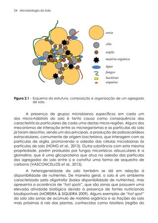 Microbiologia do Solo
24
A presença de grupos microbianos específicos em cada um
dos micro-hábitats do solo é tanto causa como consequência das
características particulares de cada uma destas micro-regiões. Alguns dos
mecanismos de interação entre os microrganismos e as partículas do solo
já foram descritos, sendo um dos principais, a produção de polissacarídeos
extracelulares, comumente de origem bacteriana, que interagem com as
partículas de argila, promovendo a adesão das células microbianas às
partículas de solo (HONG et al., 2013). Outra substância com esta mesma
propriedade, porém produzida por fungos micorrízicos arbusculares é a
glomalina, que é uma glicoproteína que atua na adesão das partículas
dos agregados do solo entre si e constitui uma forma de sequestro de
carbono (VASCONCELLOS et al., 2013).
A heterogeneidade do solo também se dá em relação à
disponibilidade de nutrientes. De maneira geral, o solo é um ambiente
caracterizado pela oligotrofia (baixa disponibilidade de nutrientes), mas
apresenta a ocorrência de “hot spots”, que são zonas que possuem uma
elevada atividade biológica devido à presença de fontes nutricionais
biodisponíveis (MOREIRA & SIQUEIRA 2009). Alguns exemplos de “hot spot”
do solo são zonas de acúmulo de matéria orgânica e as frações do solo
mais próximas à raiz das plantas, conhecidas como rizosfera (região do
Figura 2.1 - Esquema da estrutura, composição e organização de um agregado
de solo.
areia
silte
argila
matéria orgânica
água
fungos
bactérias
arquéias
 
