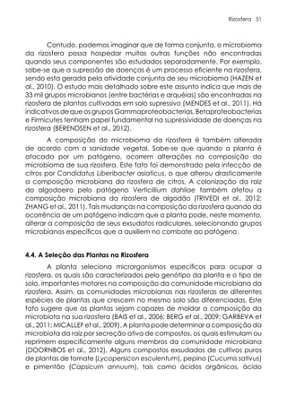Rizosfera 51
Contudo, podemos imaginar que de forma conjunta, o microbioma
da rizosfera possa hospedar muitas outras funções não encontradas
quando seus componentes são estudados separadamente. Por exemplo,
sabe-se que a supressão de doenças é um processo eficiente na rizosfera,
sendo esta gerada pela atividade conjunta de seu microbioma (HAZEN et
al., 2010). O estudo mais detalhado sobre este assunto indica que mais de
33 mil grupos microbianos (entre bactérias e arquéias) são encontradas na
rizosfera de plantas cultivadas em solo supressivo (MENDES et al., 2011). Há
indicativos de que os grupos Gammaproteobacterias, Betaproteobacterias
e Firmicutes tenham papel fundamental na supressividade de doenças na
rizosfera (BERENDSEN et al., 2012).
A composição do microbioma da rizosfera é também alterada
de acordo com a sanidade vegetal. Sabe-se que quando a planta é
atacada por um patógeno, ocorrem alterações na composição do
microbioma de sua rizosfera. Este fato foi demonstrado pela infecção de
citros por Candidatus Liberibacter asiaticus, o que alterou drasticamente
a composição microbiana da rizosfera de citros. A colonização da raiz
do algodoeiro pelo patógeno Verticillium dahliae também afetou a
composição microbiana da rizosfera de algodão (TRIVEDI et al., 2012;
ZHANG et al., 2011). Tais mudanças na composição da rizosfera quando da
ocorrência de um patógeno indicam que a planta pode, neste momento,
alterar a composição de seus exsudatos radiculares, selecionando grupos
microbianos específicos que a auxiliem no combate ao patógeno.
4.4. A Seleção das Plantas na Rizosfera
A planta seleciona microrganismos específicos para ocupar a
rizosfera, os quais são caracterizados pelo genótipo da planta e o tipo de
solo, importantes motores na composição da comunidade microbiana da
rizosfera. Assim, as comunidades microbianas nas rizosferas de diferentes
espécies de plantas que crescem no mesmo solo são diferenciadas. Este
fato sugere que as plantas sejam capazes de moldar a composição da
microbiota na sua rizosfera (BAIS et al., 2006; BERG et al., 2009; GARBEVA et
al., 2011; MICALLEF et al., 2009). A planta pode determinar a composição da
microbiota da raiz por secreção ativa de compostos, os quais estimulam ou
reprimem especificamente alguns membros da comunidade microbiana
(DOORNBOS et al., 2012). Alguns compostos exsudados de cultivos puros
de plantas de tomate (Lycopersicon esculentum), pepino (Cucumis sativus)
e pimentão (Capsicum annuum), tais como ácidos orgânicos, ácido
 