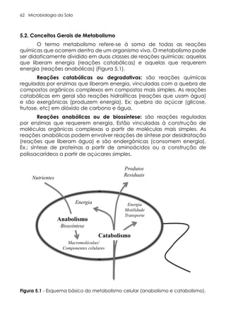 Microbiologia do Solo
62
5.2. Conceitos Gerais de Metabolismo
O termo metabolismo refere-se à soma de todas as reações
químicas que ocorrem dentro de um organismo vivo. O metabolismo pode
ser didaticamente dividido em duas classes de reações químicas: aquelas
que liberam energia (reações catabólicas) e aquelas que requerem
energia (reações anabólicas) (Figura 5.1).
Reações catabólicas ou degradativas: são reações químicas
reguladas por enzimas que liberam energia, vinculadas com a quebra de
compostos orgânicos complexos em compostos mais simples. As reações
catabólicas em geral são reações hidrolíticas (reações que usam água)
e são exergônicas (produzem energia). Ex: quebra do açúcar (glicose,
frutose, etc) em dióxido de carbono e água.
Reações anabólicas ou de biossíntese: são reações reguladas
por enzimas que requerem energia. Estão vinculadas à construção de
moléculas orgânicas complexas a partir de moléculas mais simples. As
reações anabólicas podem envolver reações de síntese por desidratação
(reações que liberam água) e são endergônicas (consomem energia).
Ex.: síntese de proteínas a partir de aminoácidos ou a construção de
polissacarídeos a partir de açúcares simples.
Figura 5.1 - Esquema básico do metabolismo celular (anabolismo e catabolismo).
ra 5.1. Esquema básico do metabolismo celular (anabolismo e catabolismo).
Anabolismo
Biossíntese
Catabolismo
Nutrientes
Energia
Macromoléculas/
Componentes celulares
Energia
Motilidade
Transporte
Produtos
Residuais
 